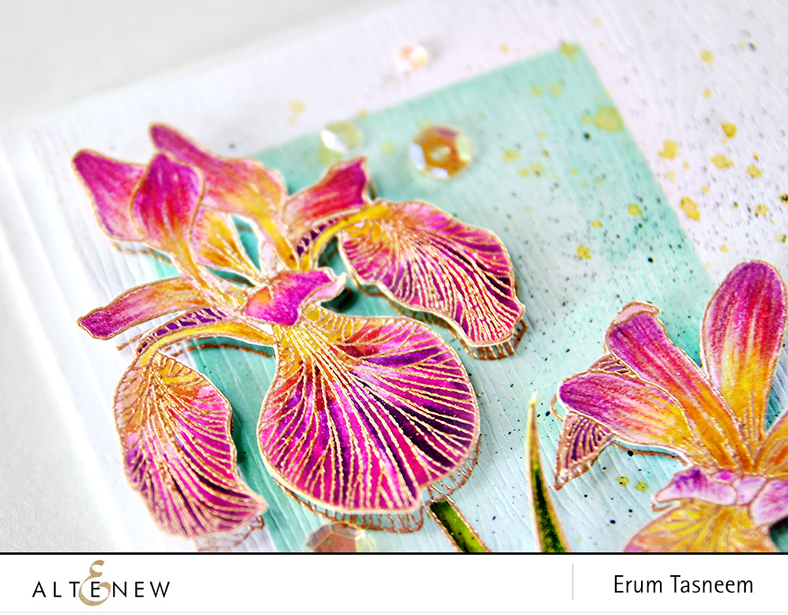Altenew Enchanted Iris stamp set, card by Erum Tasneem - @pr0digy0