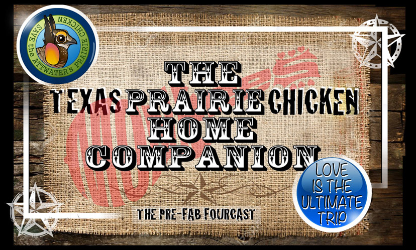 The Texas Prairie Chicken Home Companion