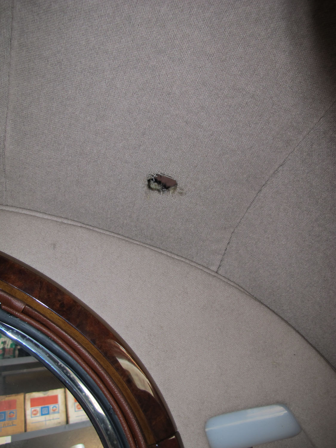 When Rodents Come Chewing - JE Robison Service - Bosch Car Service