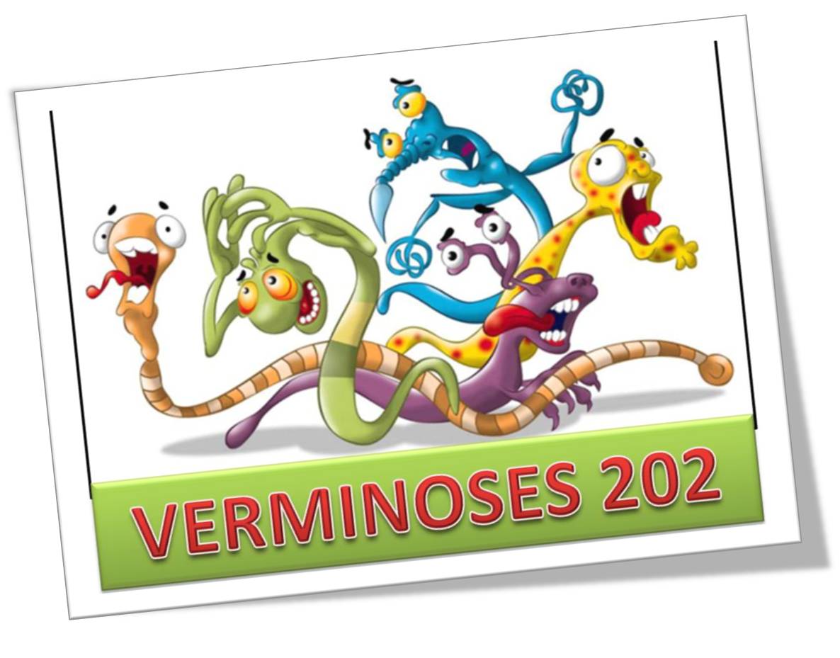 Fmp 2018 As Verminoses Formam Um Grupo