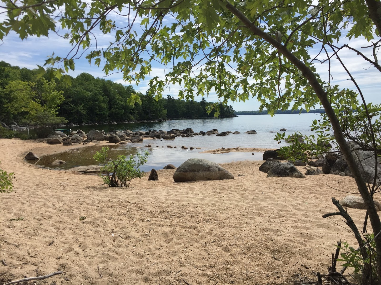 Sally Dean 365 Flowers Frye Island, Maine