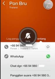 Cara Whatsapp Dengan Orang Luar Negeri