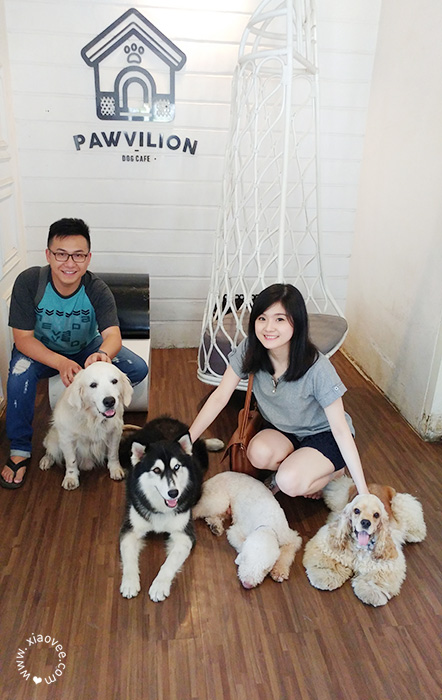 Pawvilion Dog Cafe, Pawvilion Dog Cafe Malang, Pawvilion Malang, Dog Cafe Malang, Dog Cafe Indonesia, Dog Cafe Review, Dog Cafe Indonesia Review