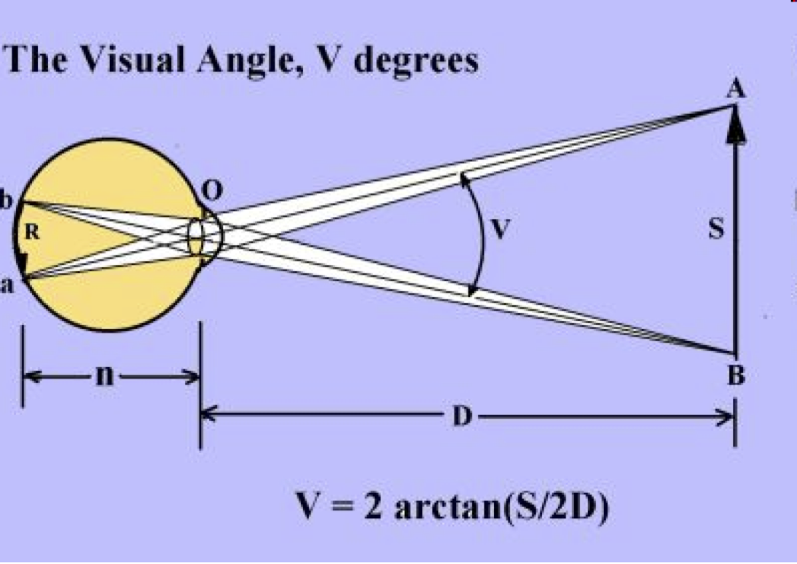 Monocular cues for depth perception
