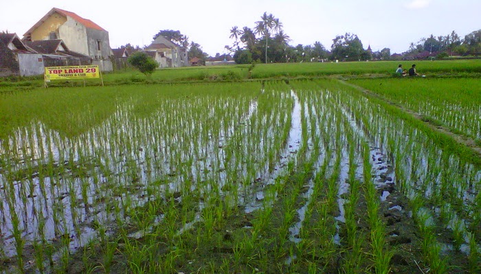 Dewan Jembrana Percepat Bahas Ranperda Lahan Pertanian