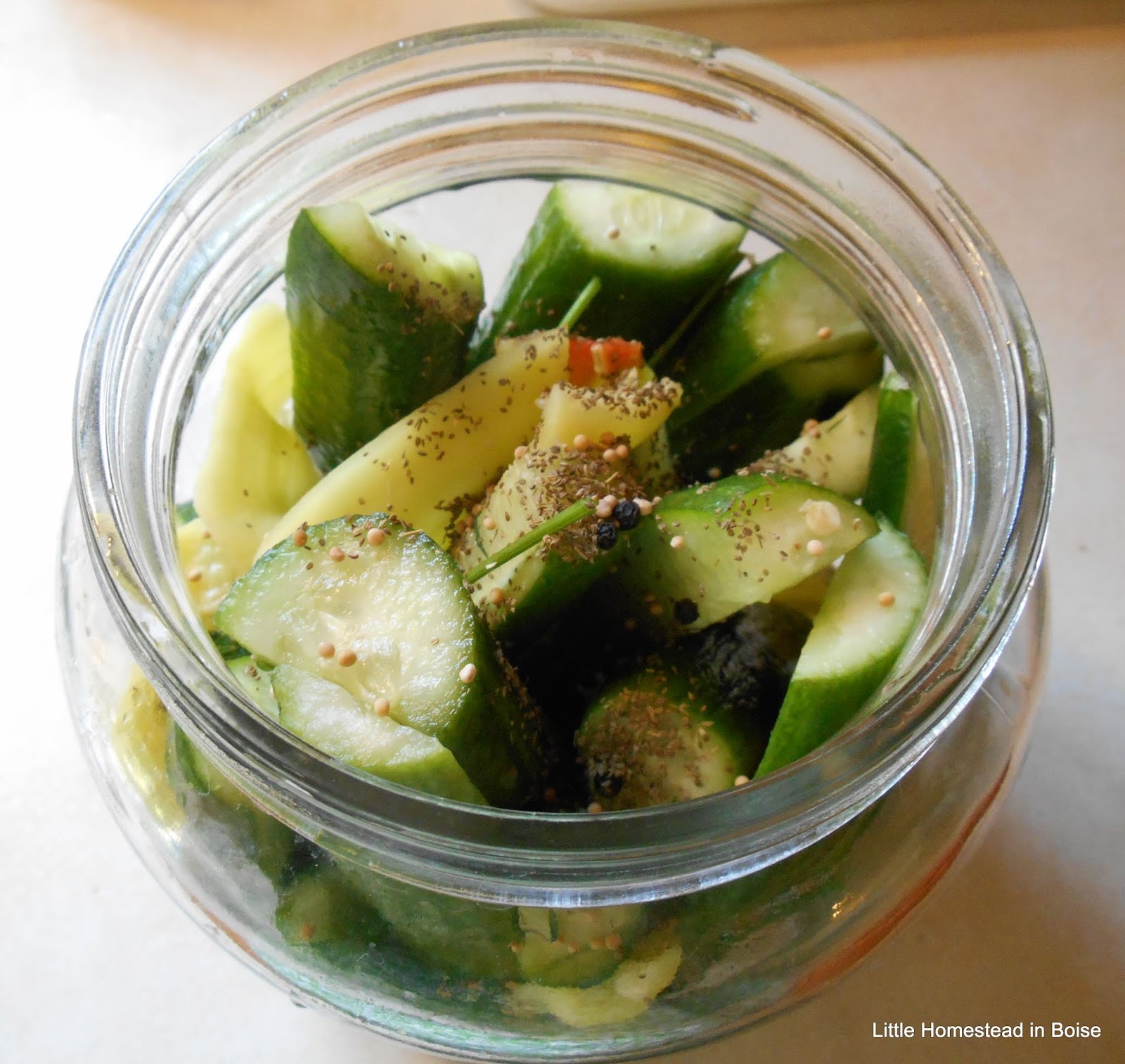 Little Homestead In Boise Veggie Pruning and Making Fermented Armenian Cucumber Pickles