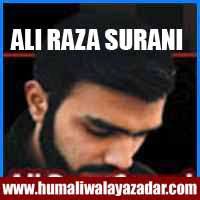 http://ishqehaider.blogspot.com/2013/11/ali-raza-surani-nohay-2014.html