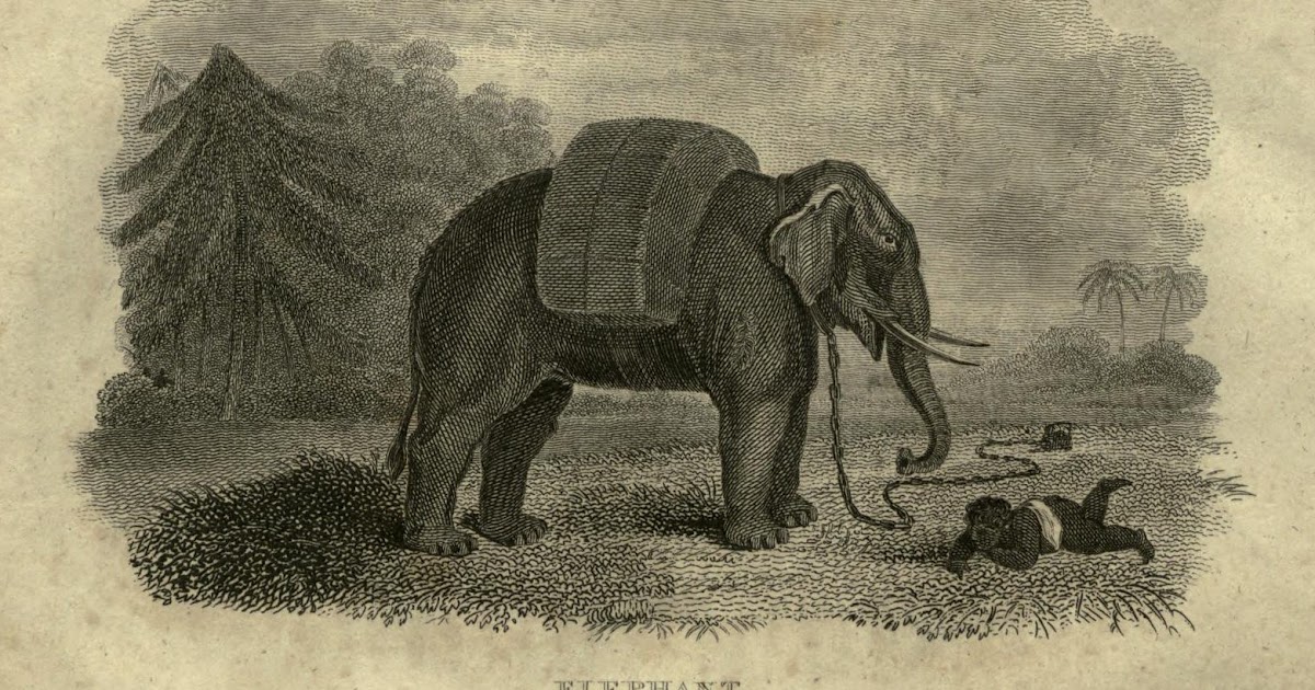 Early Sports and Pop Culture History Blog The Gift of the Nabob a