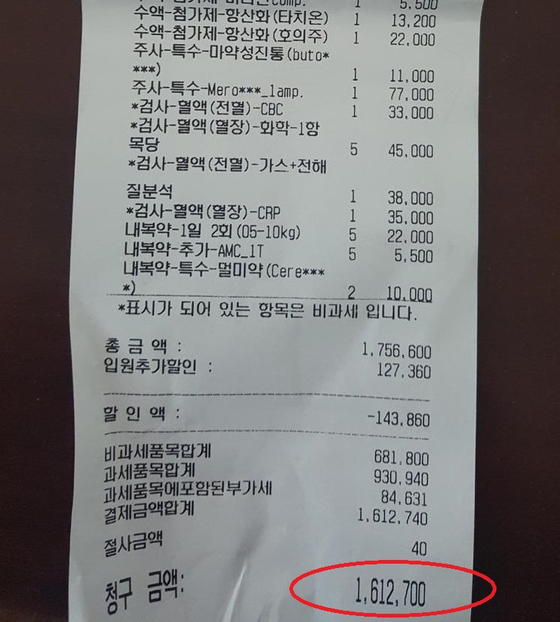 강아지 췌장염 5일 입원 병원비