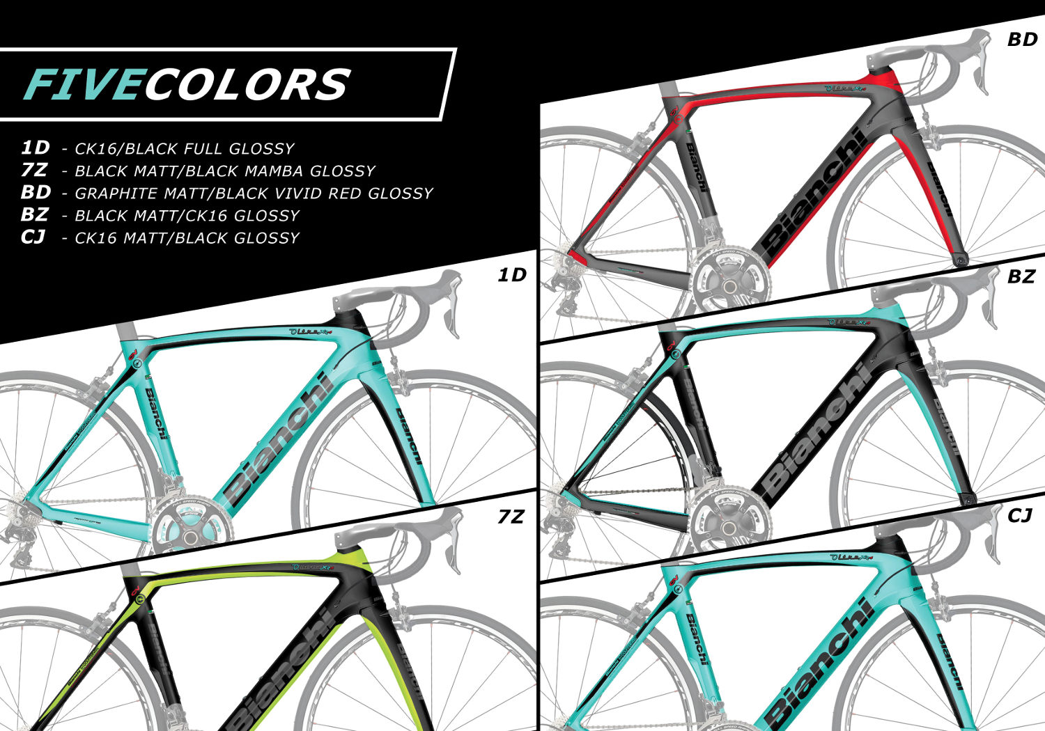 bianchi oltre xr4 size guide