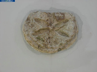 Azulejos e Placas de Pedra de Castelo de Vide, Portugal (Tiles)