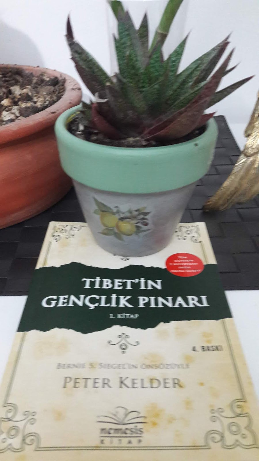 hande kayacan atolye blogger