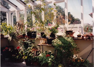 conservatory,