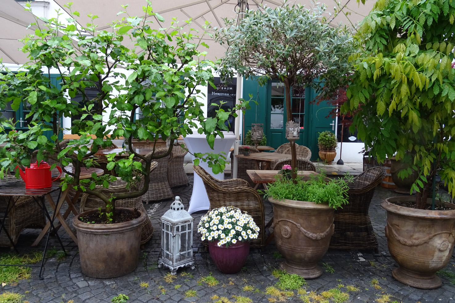 Budapest Bratislava And Vienna 13 20 10 2012 Part Iii