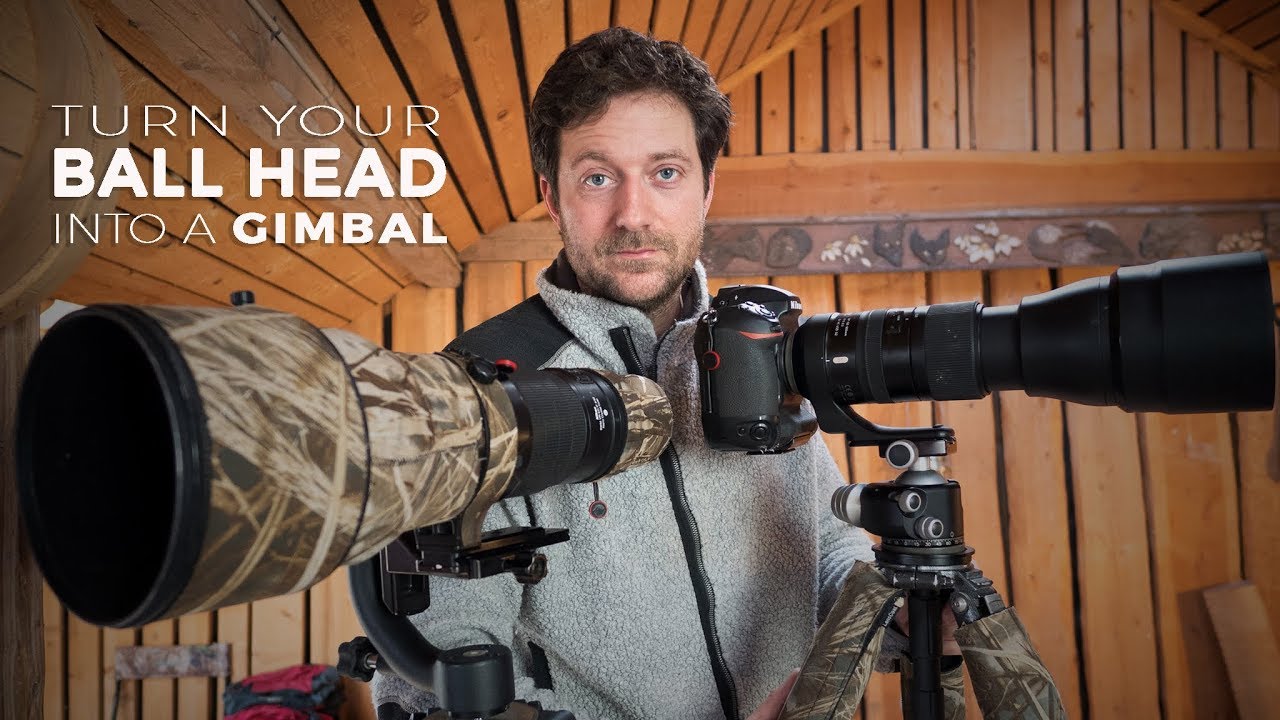 How to turn your BALL HEAD into a GIMBAL for wildlife photography