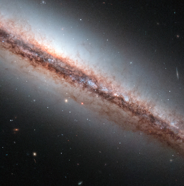 Spiral Galaxy NGC 4217