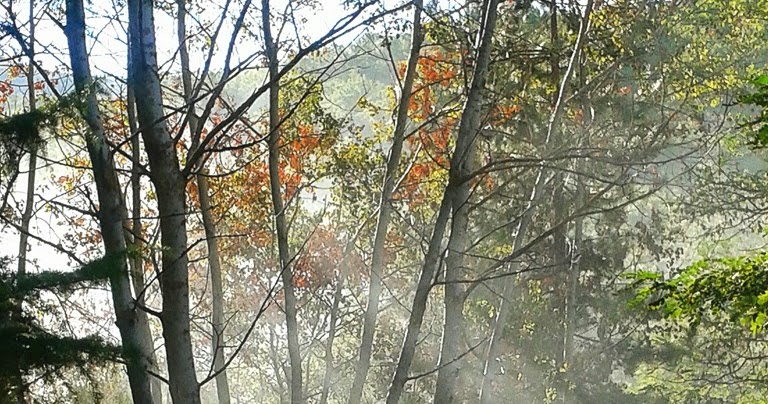 Fine Stagione La sua figura (Sa figure)