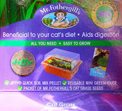 cat kit grass florez nursery