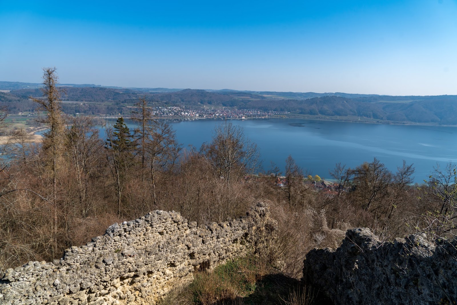 Nicodavinci Slowcarb Experte Und Futter Rebell