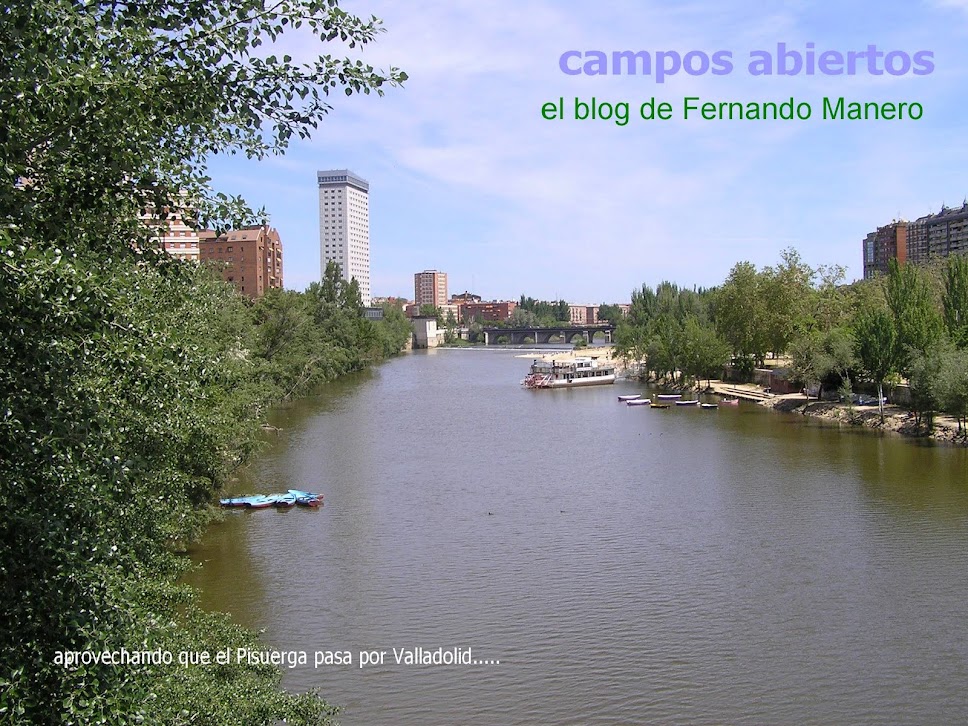 CAMPOS ABIERTOS. El blog de Fernando Manero