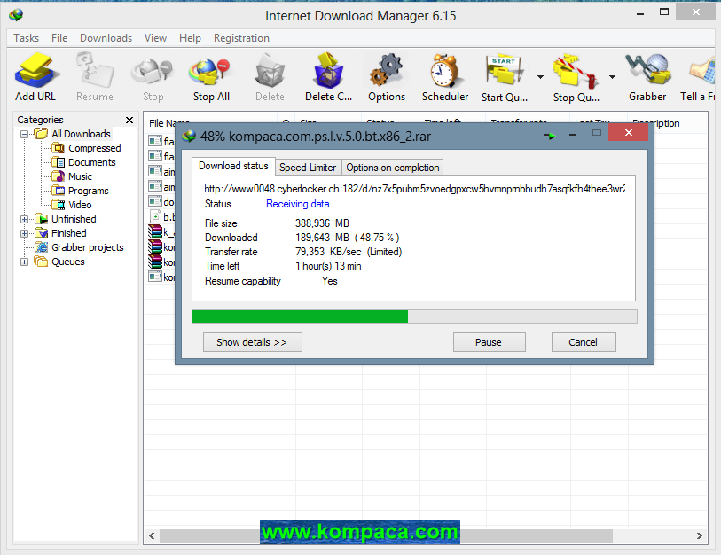 √ Internet Download Manager 6.15 Build 14 Final - Downspro