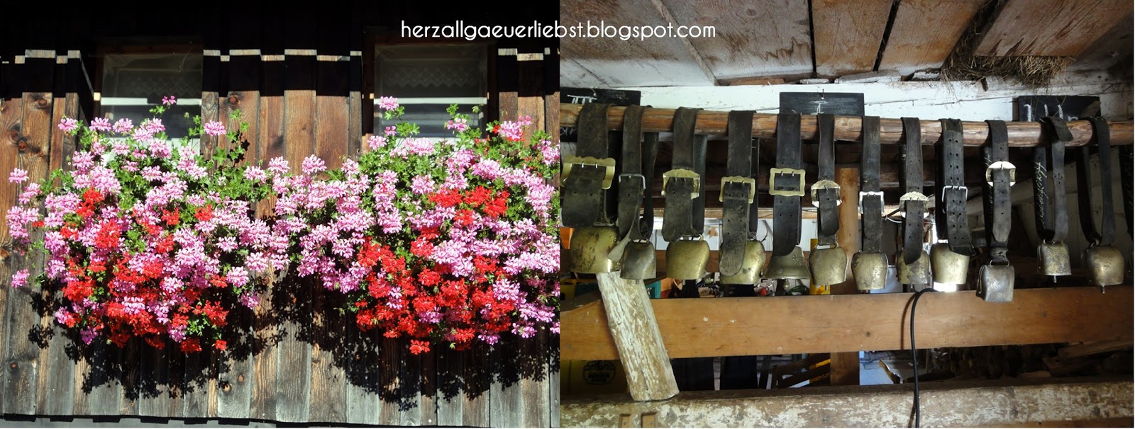 Hotel News Bauernhofurlaub Mit Vollgas Runterschalten