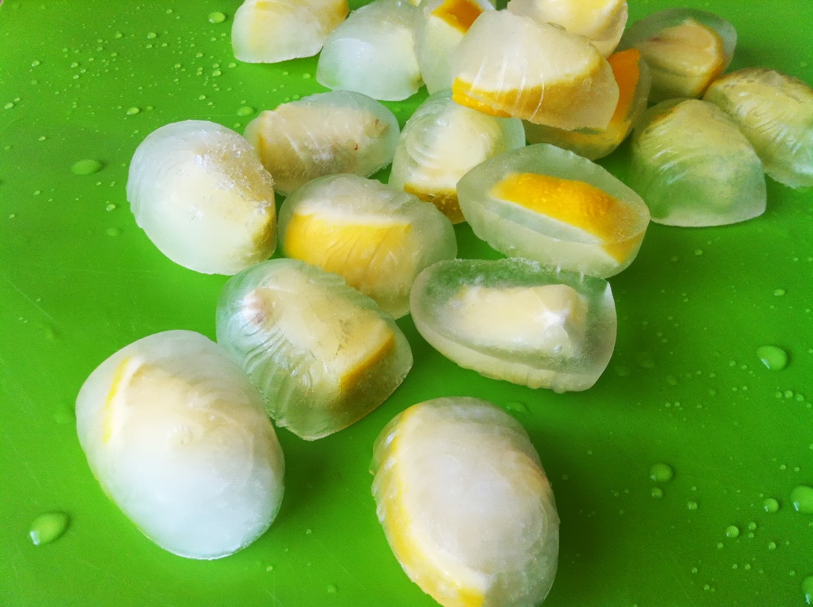 our carlson life diy thursday homemade garbage disposal freshener