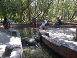 Hot Springs, Sg. Klah, Perak.