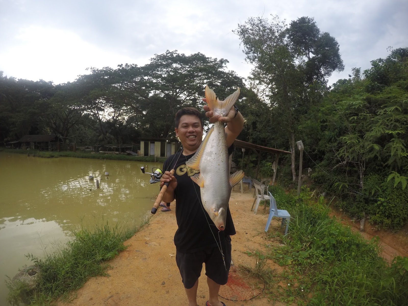 Umpan ikan Patin , Rohu , Pacu , Tongsan , Mekong Kolam Pancing Nanyang Fish Farm dan Umpan