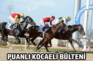 Puanlı Kocaeli Bülteni, Programı