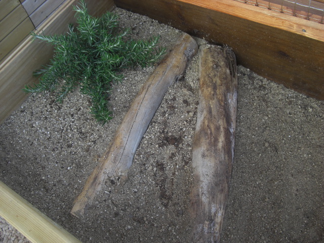 Rèptils Martínez & Lladó : Decorando los cajones para tortugas entre