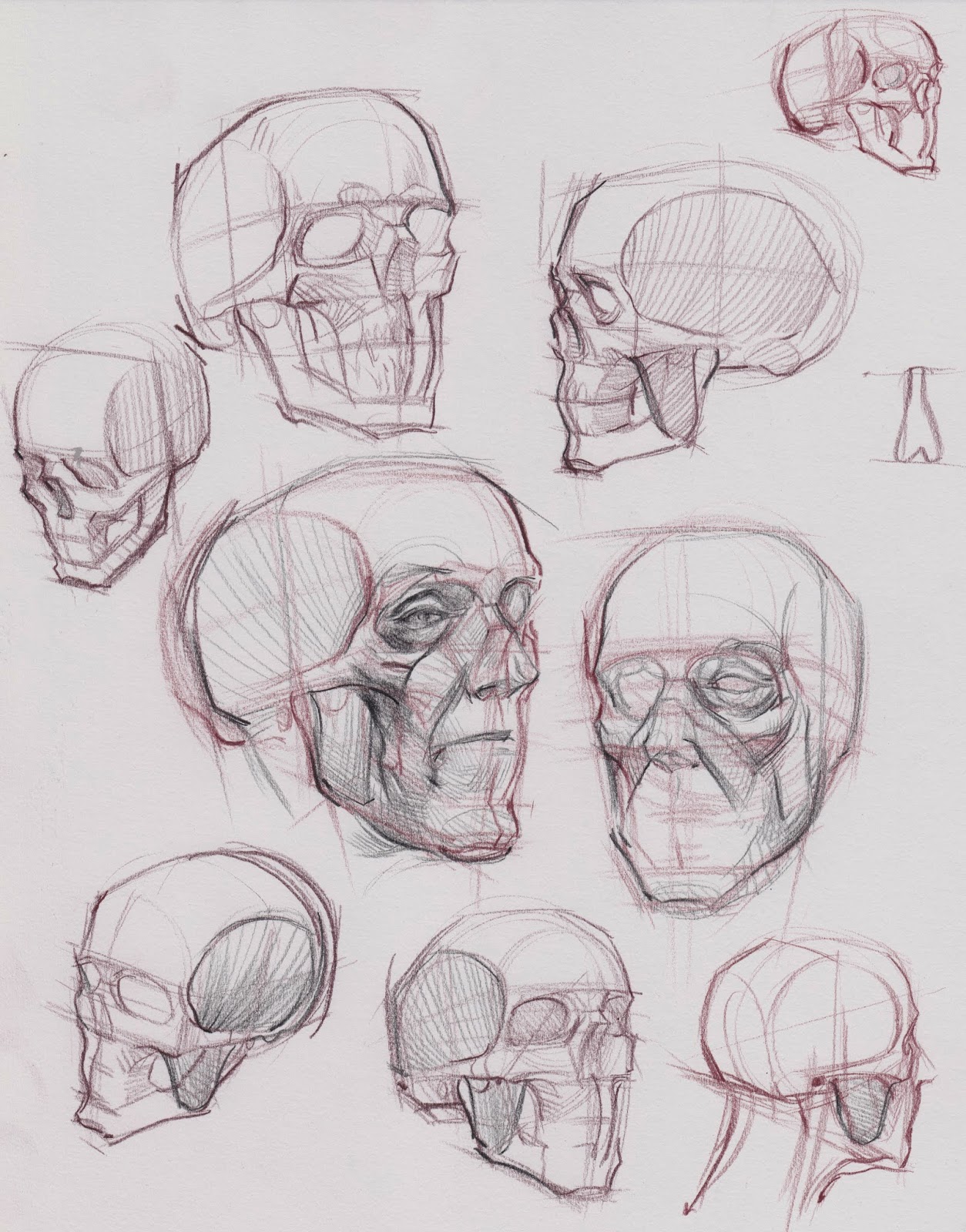 figuredrawing.info news: Head Studies