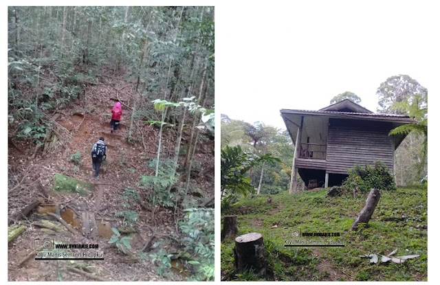Pengalaman Mendaki Gunung Lucia Tawau Part 1 