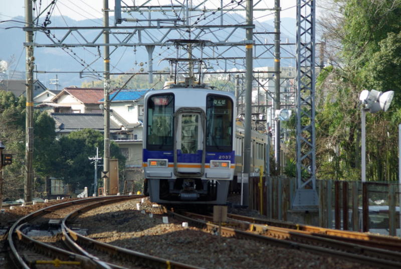 遊機秘路 河内長野駅から汐ノ宮まで石川沿いを散歩 カワセミ3羽（^v^）