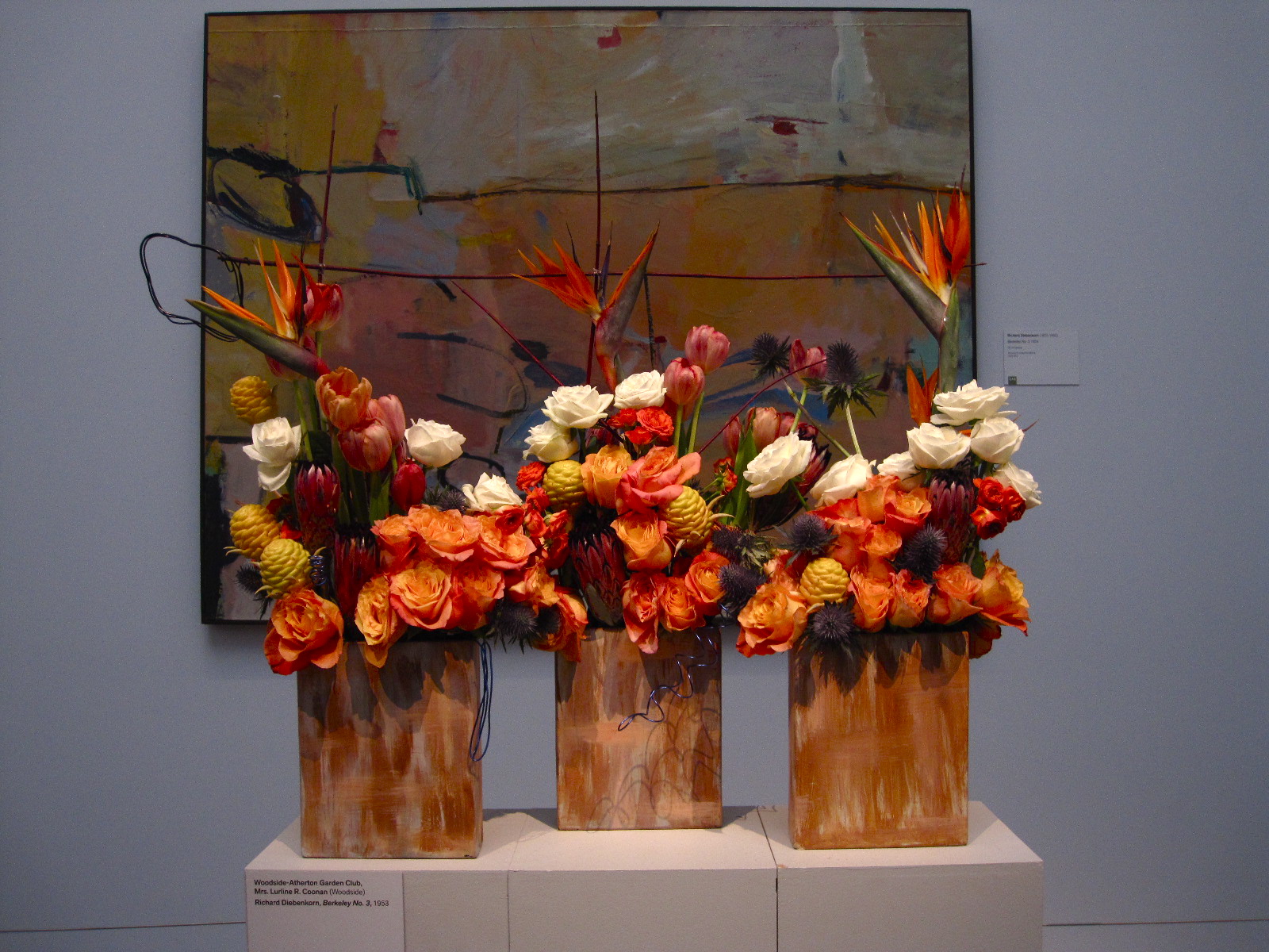 T e r r a r i u m T h e r a p y Friday at the De Young Museum Bouquet