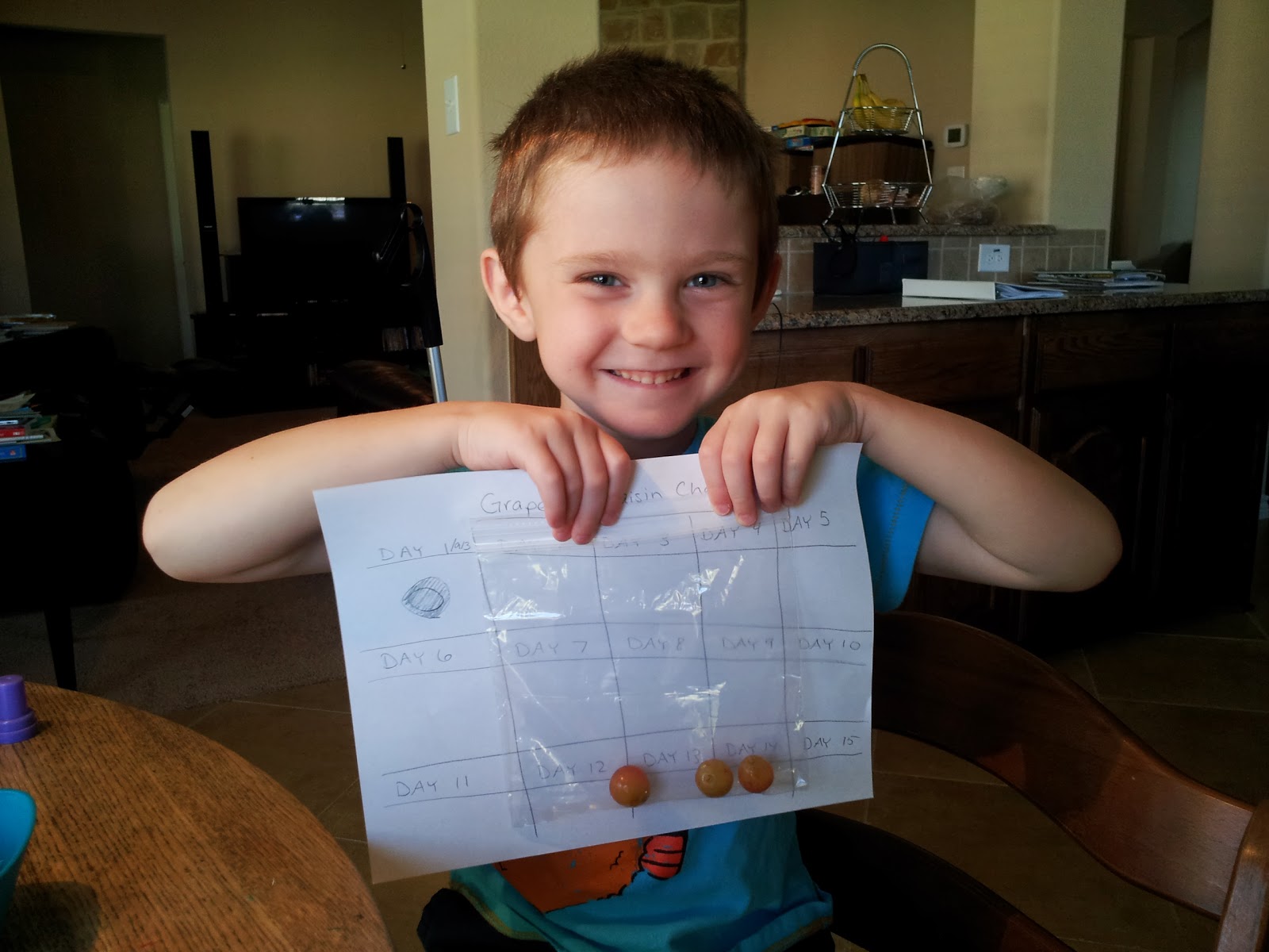 My Fruitful Life Grapes to Raisins Experiment