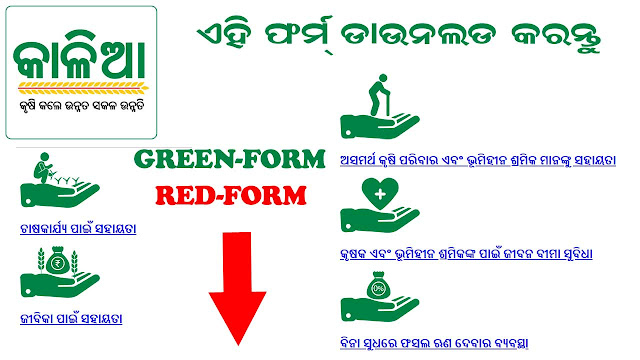 kalia yojana application form pdf download