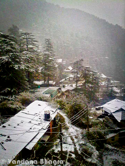  It's been 3 days when I am continuously seeing snowfall updates from various parts of Himachal Pradesh. It started with capital city of Himachal, Shimla. Today Dharmshala also got some snow. The amazing part is that various parts in himachal have got unexpected snowfall and this is the first time it happened. Palampur, Kangra and even Hamirpur was covered with white snow-sheet on 7th Jan 2012. Let's have a quick Photo Journey from various parts of Himachal and photographs shared by different people mentioned below.Here is a photograph shared by Arpit Kalia and his friend (name to be added).  An amazing photograph showing white dhauladhar mountain ranges, with a huge range of houses covered with white snow in foreground. I wish I was there to witness the moment as well. We have a plan for Pong dam in January and hope to see more snow during end of the month as well...It was very normal when people heard about snowfall in Shimla and then Dharmshala. Residents and tourists were delighted to see snow flakes falling down... But it was a beautiful surprise when people noticed snow in Palampur and various parts of Kangra district. Kangra town got snowfall after 50+ years. Limits of surprises crossed when folks in Hamirpur saw the town in white color. Above photograph is from Hamirpur Town and photo is shared by Akash Deep Photography.Initially when some of us in Delhi saw updates from Hamirpur, most of the folks guessed it hailstorms not snow. Photographs by Akash Deep provided the proof of snowfall in Hamirpur, which is will be remembered for years now. In fact, still people are doubting about the snowfall in Hamirpur town. Two photographs above are shared by Akash Deep.. Since I have lot of facebook friends from Himachal, I am only seeing snowfall photographs for all three days. And all the photographs shared on this post belong to various Himachal Residents who enjoyed the wonderful snowfall in Himachal Pradesh !!!New year (2012) has started very well for Himachal Pradesh and Tourism in the region. Hope all this end with more happiness and prosperity !!!Below shared photographs are also from Hamirpur and shared by Shushil Sharma.Hamirpur Residents playing with snow-balls. A very thin layers of snow was there in Hamirpur, but it was snow not hailstorm :) ... Hope to get more photographs from other regions like Mandi, Manali, Kullu, Lahaul & Kinnaur as well !!