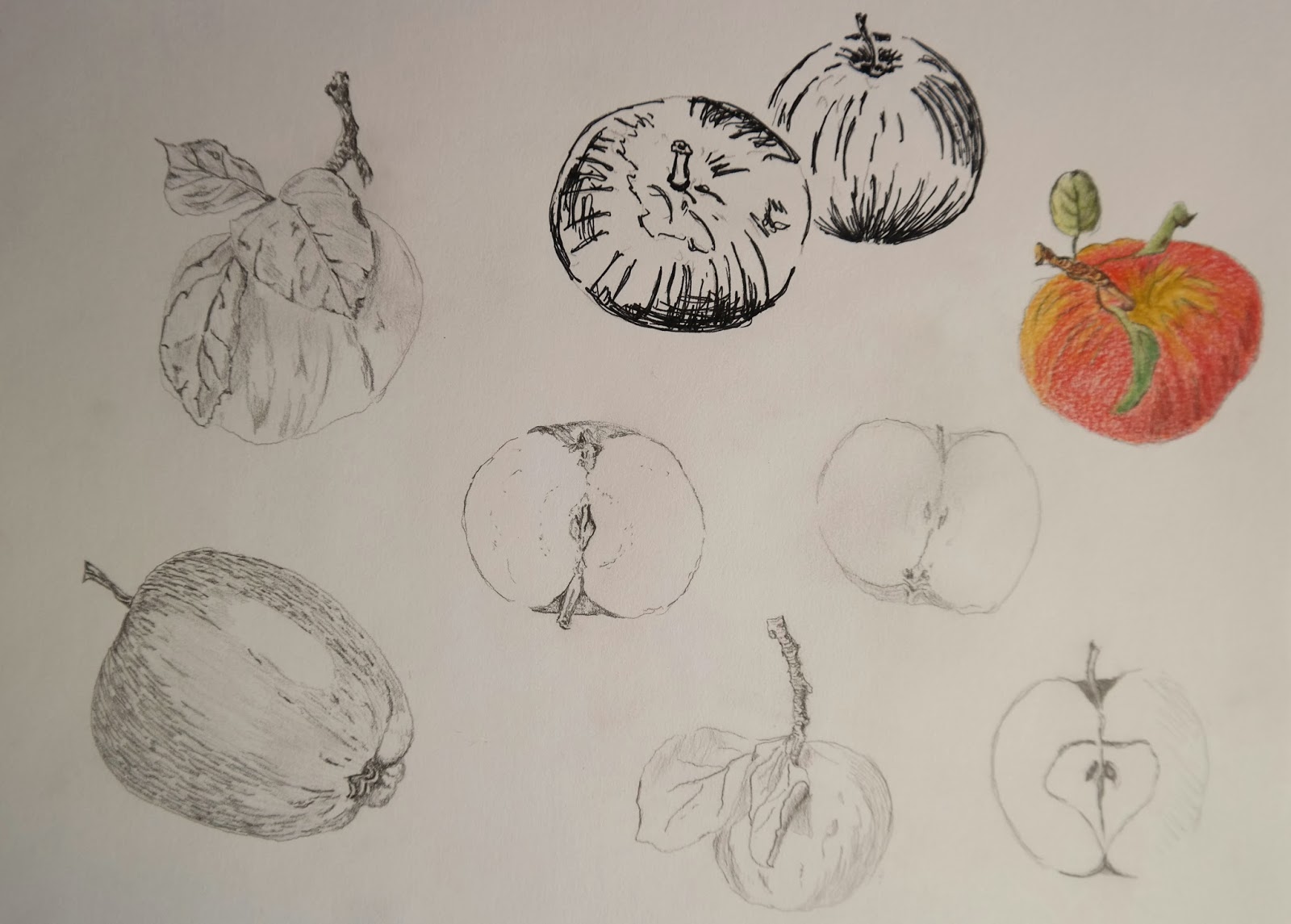 Draw and select | OCAdrawing1jfm