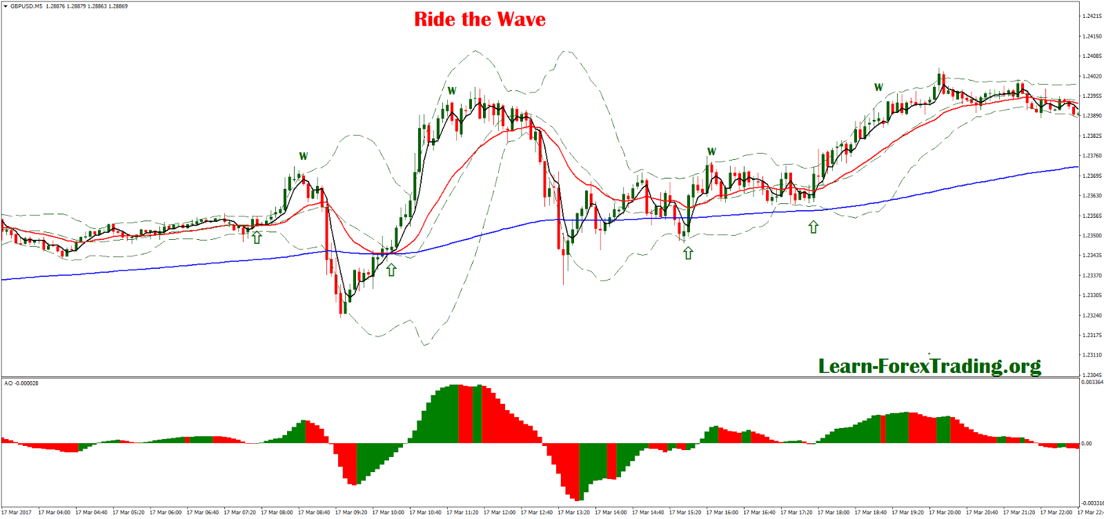 Learning forex trading