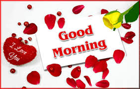 good morning good morning