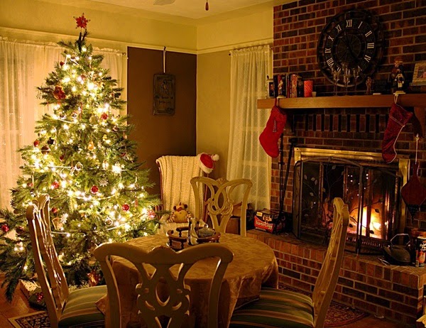 Choose your Christmas tree