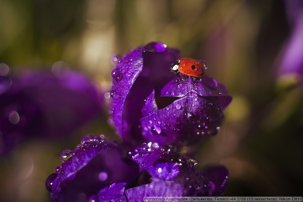 Гелиос-44 2/58