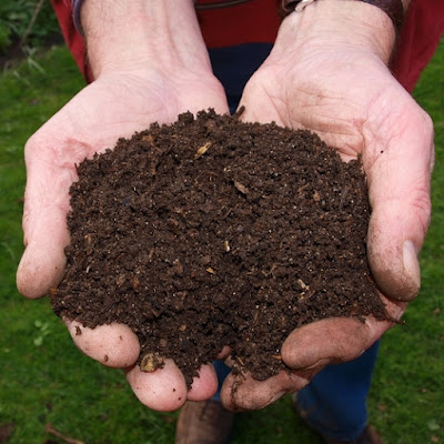 handful of great potting soil
