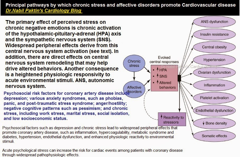 Consequences of stress. Such factors. Herzberg’s motivation two-factor theory. Such factors. Well-being.