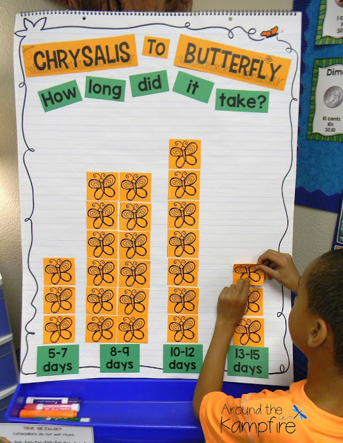 Butterfly math activities~ Graphing the life cycle