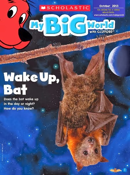 Magazine Bats