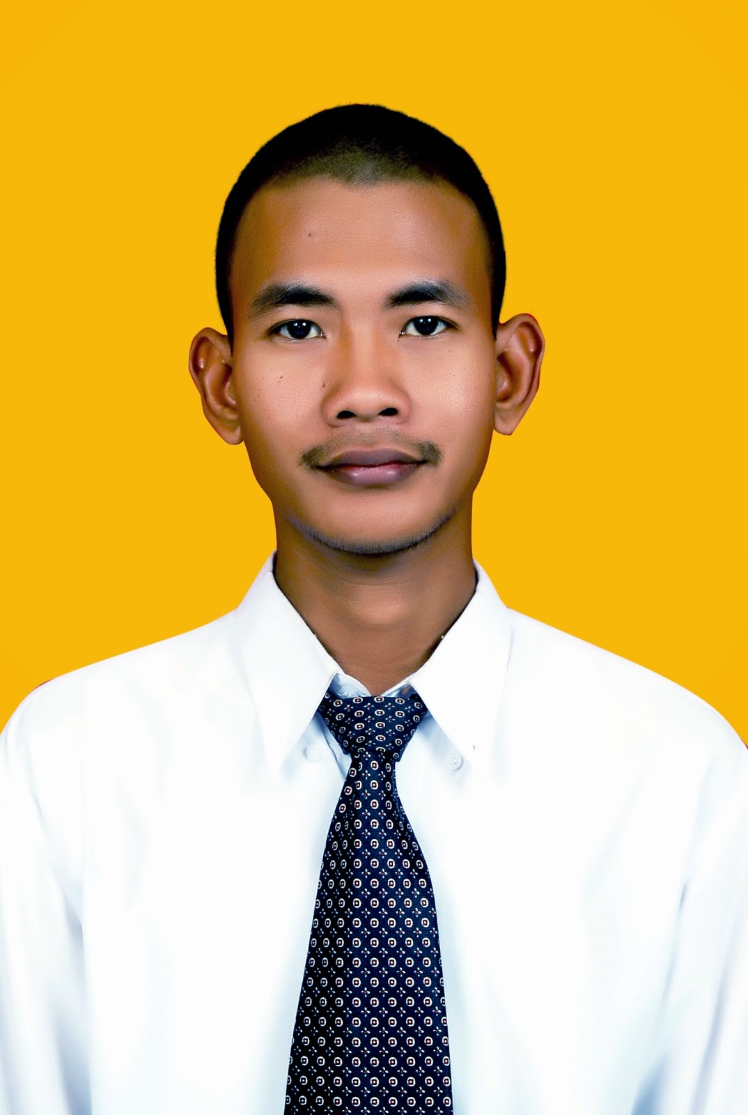 The Forex Advisor