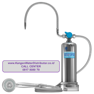 Air Kangen Water Jakarta Timur, Jual Air Kangen Water, Harga Air Kangen Water, Anespa.png