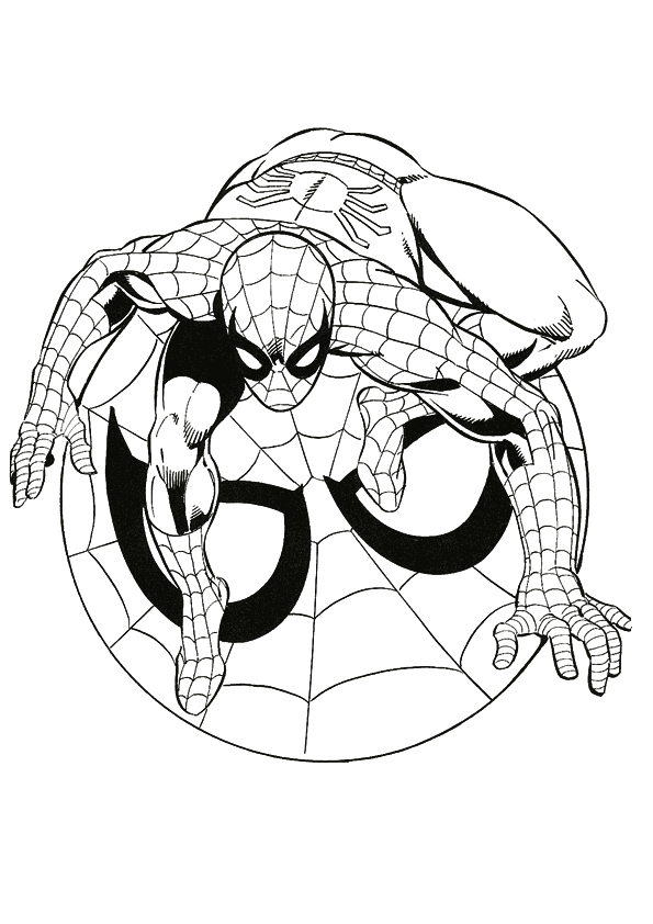 Spiderman free printable coloring pages coloring.filminspector.com